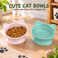2 Pack Raised Cat Ear Bowl Set