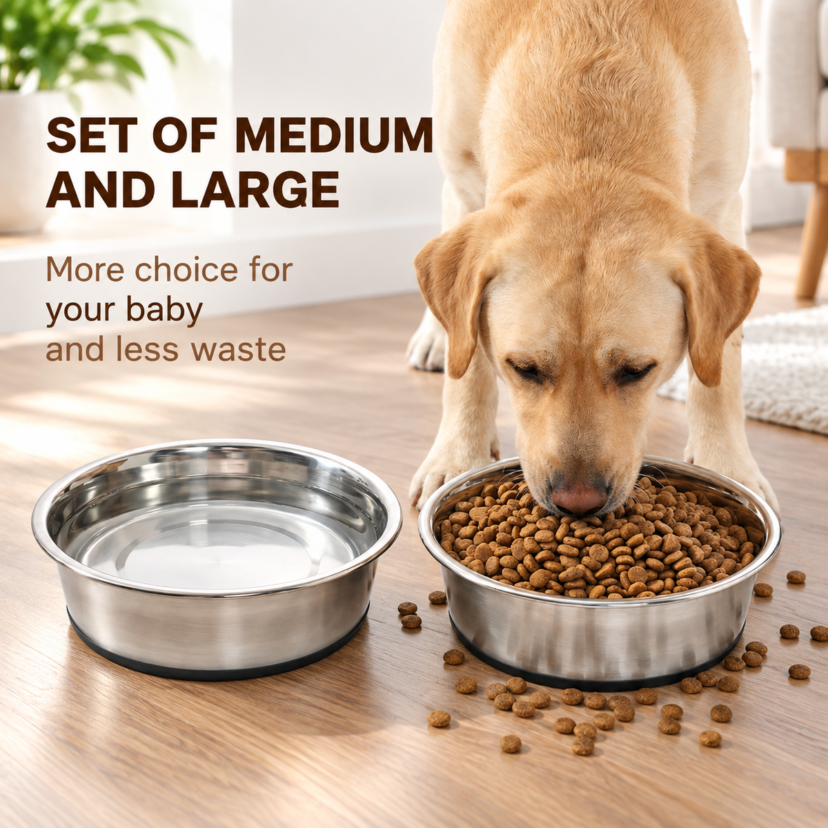 Non-Slip Stainless Steel Dog Bowl Set (2 bowls)
